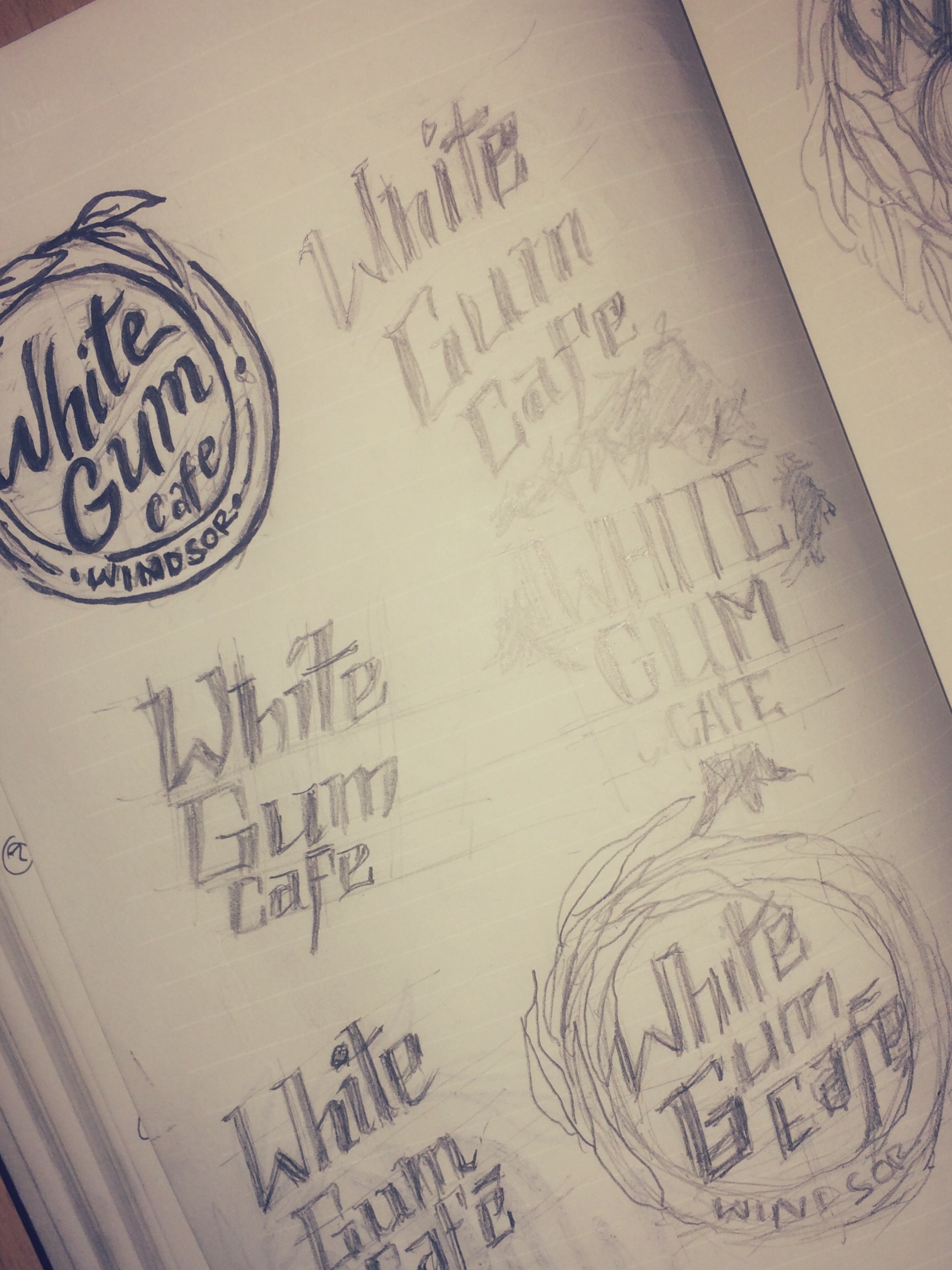 White Gum Cafe Logo Design Process